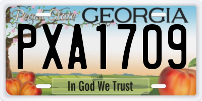 GA license plate PXA1709