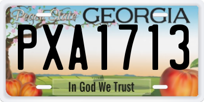 GA license plate PXA1713