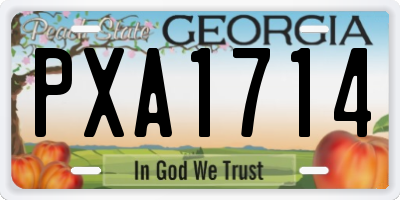 GA license plate PXA1714