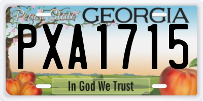 GA license plate PXA1715