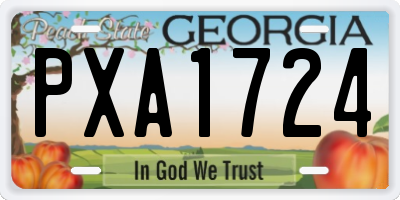 GA license plate PXA1724