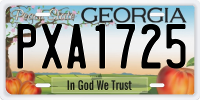 GA license plate PXA1725