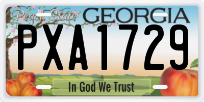 GA license plate PXA1729