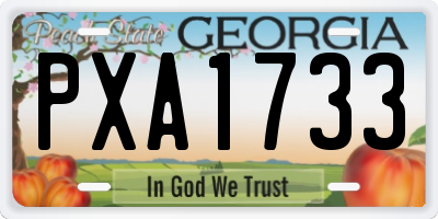 GA license plate PXA1733