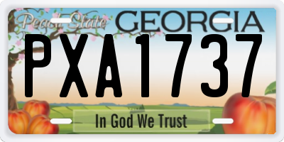 GA license plate PXA1737