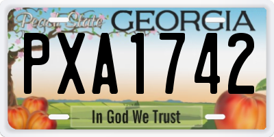 GA license plate PXA1742