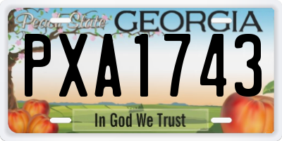 GA license plate PXA1743