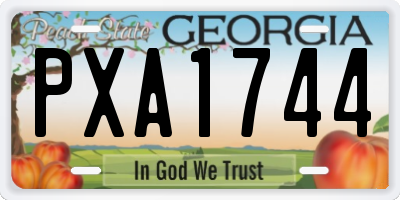 GA license plate PXA1744