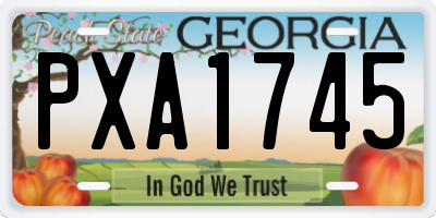 GA license plate PXA1745