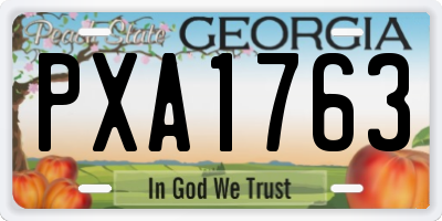 GA license plate PXA1763