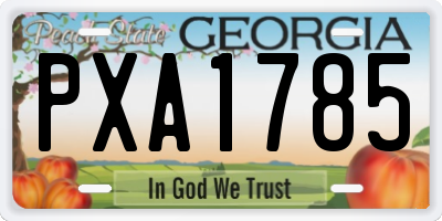 GA license plate PXA1785