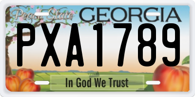 GA license plate PXA1789