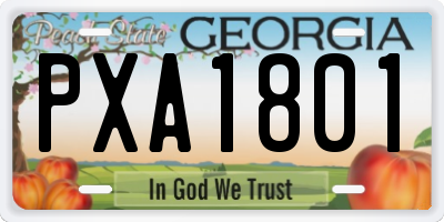 GA license plate PXA1801