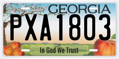 GA license plate PXA1803