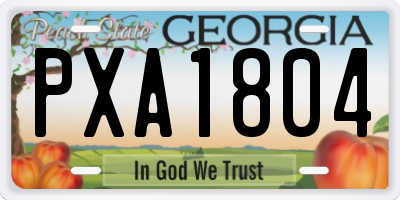 GA license plate PXA1804