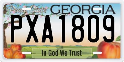 GA license plate PXA1809