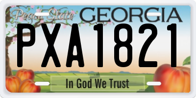 GA license plate PXA1821