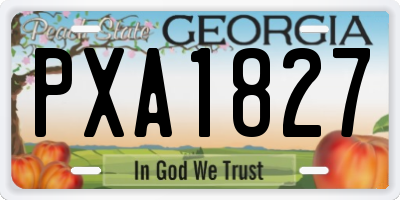 GA license plate PXA1827