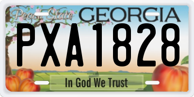 GA license plate PXA1828