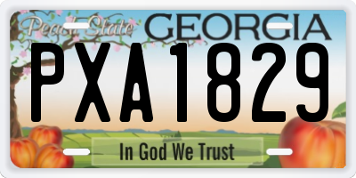GA license plate PXA1829