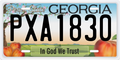 GA license plate PXA1830