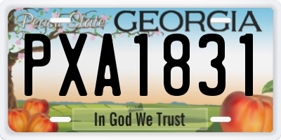 GA license plate PXA1831