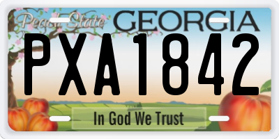 GA license plate PXA1842