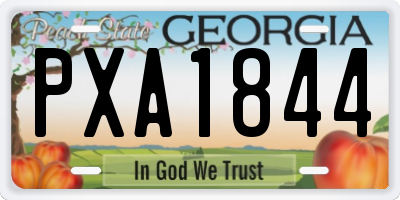 GA license plate PXA1844