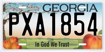 GA license plate PXA1854