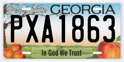 GA license plate PXA1863
