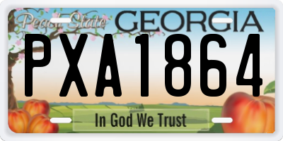 GA license plate PXA1864