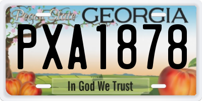 GA license plate PXA1878