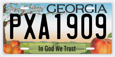 GA license plate PXA1909