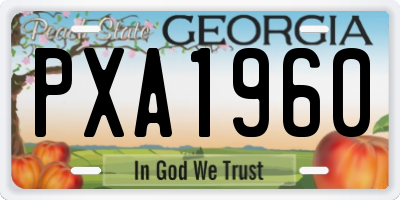 GA license plate PXA1960