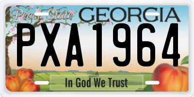 GA license plate PXA1964