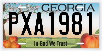 GA license plate PXA1981