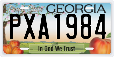GA license plate PXA1984