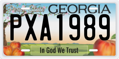 GA license plate PXA1989