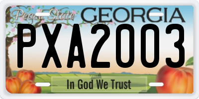 GA license plate PXA2003