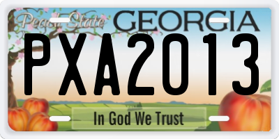 GA license plate PXA2013
