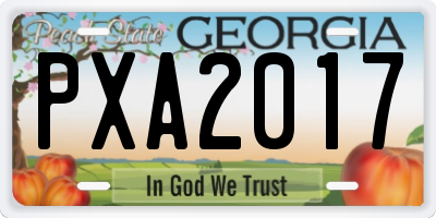 GA license plate PXA2017
