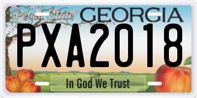 GA license plate PXA2018