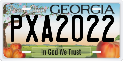 GA license plate PXA2022