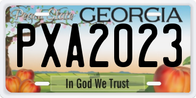 GA license plate PXA2023