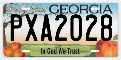 GA license plate PXA2028