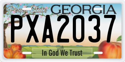GA license plate PXA2037