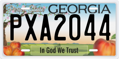 GA license plate PXA2044