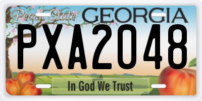 GA license plate PXA2048