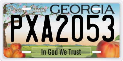 GA license plate PXA2053