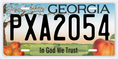 GA license plate PXA2054